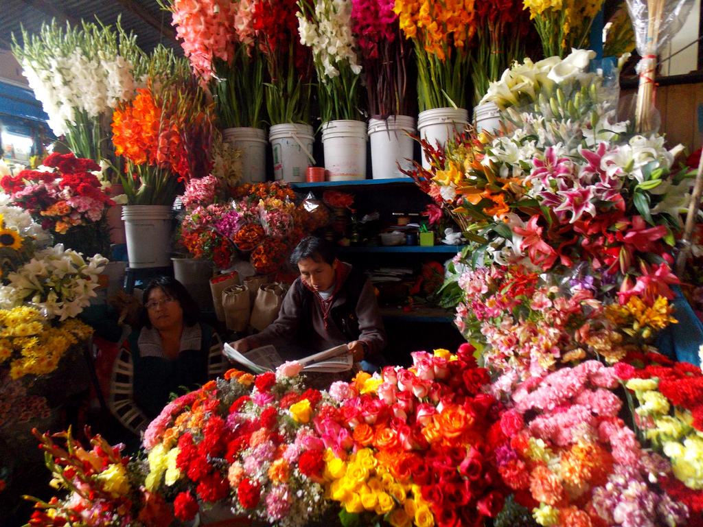 Mercado San Pedro