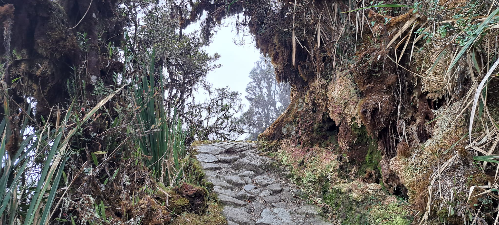 Trilha Inca - Machu Picchu