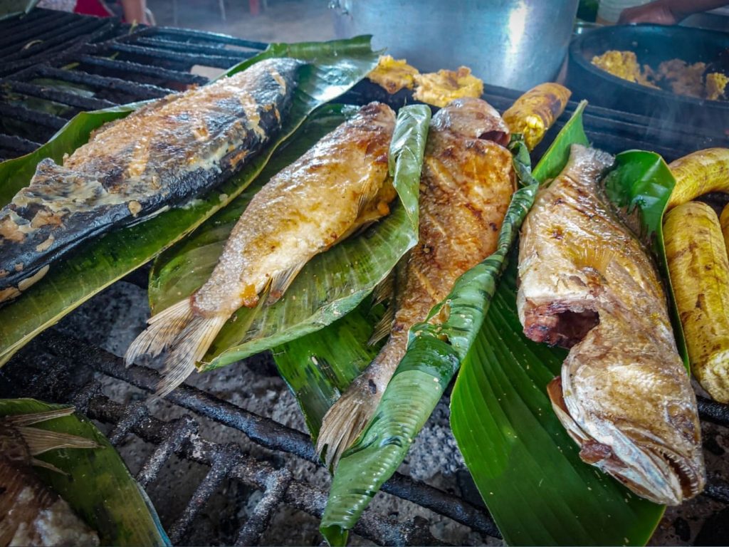 A Amazônia peruana é uma das regiões mais ricas e biodiversas do planeta, e essa riqueza se reflete diretamente em sua culinária. A cozinha da selva oferece uma combinação única de ingredientes locais, técnicas tradicionais e influências culturais que resultam em pratos saborosos e autênticos. A gastronomia amazônica é uma verdadeira experiência intensa, misturando sabores, texturas e aromas de uma forma que encanta a todos que a experimentam.
