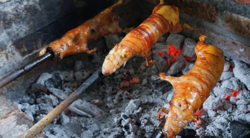 A gastronomia peruana é famosa por sua diversidade e por pratos que trazem consigo uma história rica e profunda. Um desses pratos é o cuy ao forno, uma iguaria peruana que pode surpreender muitos brasileiros por ser feita com o famoso porquinho da Índia. Se para nós, o porquinho é um pet adorável, nas montanhas dos Andes, ele é um alimento ancestral e muito valorizado. Neste post, você vai descobrir os segredos por trás dessa tradição, a preparação do cuy, e como ele reflete a riqueza cultural do Peru.
