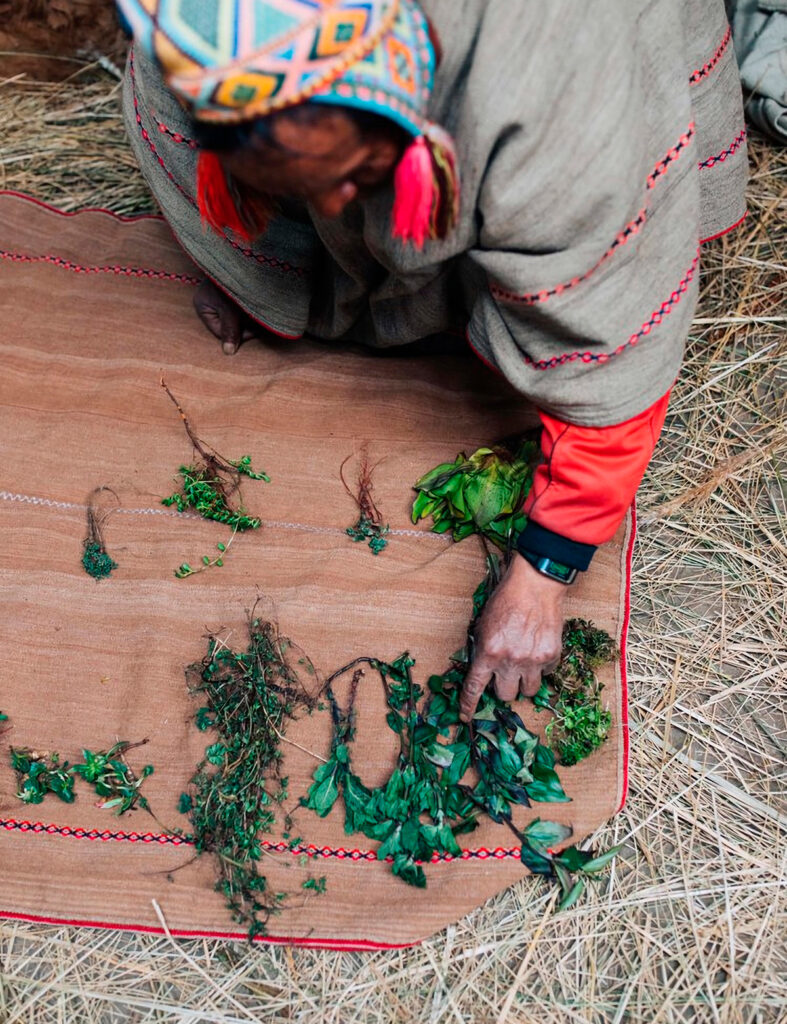 Os Qeros são conhecidos como o último ayllu inca ainda existente nos Andes peruanos. Essa comunidade vive nas montanhas remotas de Cusco, preservando tradições ancestrais que resistiram ao tempo e às mudanças. Para quem busca aprender mais sobre a rica herança dos incas, conhecer os Qeros é como viajar no tempo.