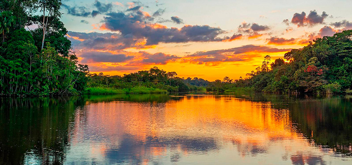 Reserva Nacional de Tambopata