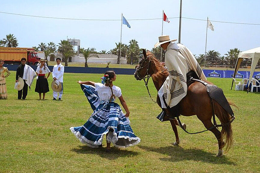 Trujillo_Cavalo Peruano de Passo