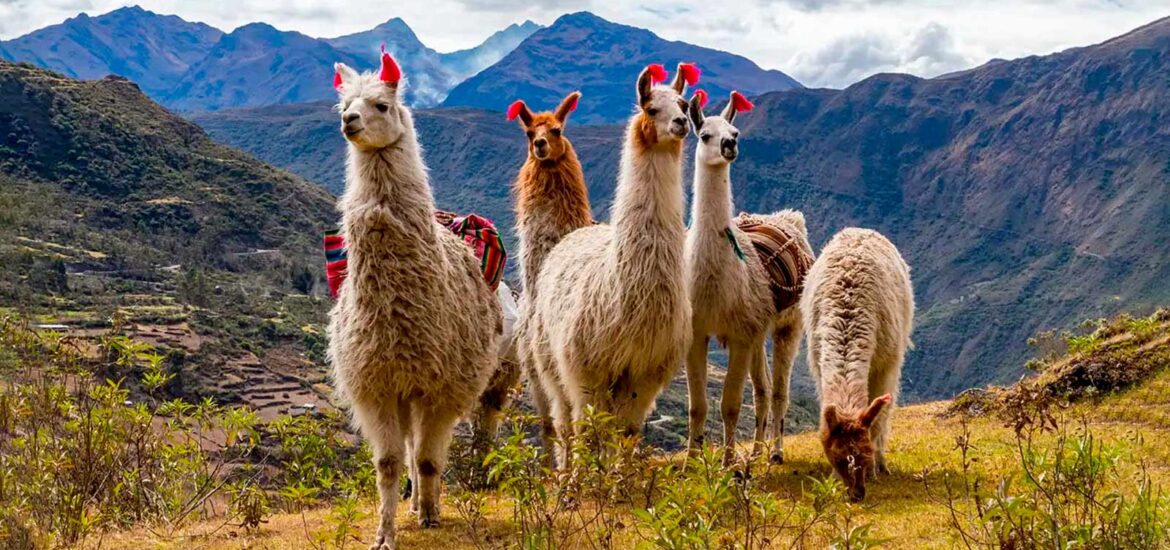Lhmas no Peru
