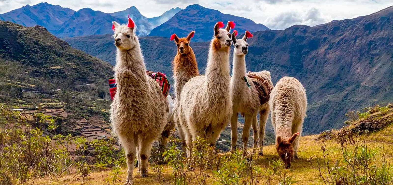 Lhmas no Peru