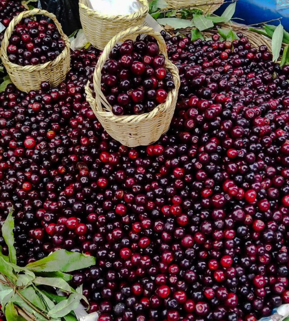 Capulí, fruta andina típica de Cusco, exposta em cestos durante festividades de janeiro, ingrediente tradicional usado em bebidas e preparações regionais na Festa de San Sebastián.